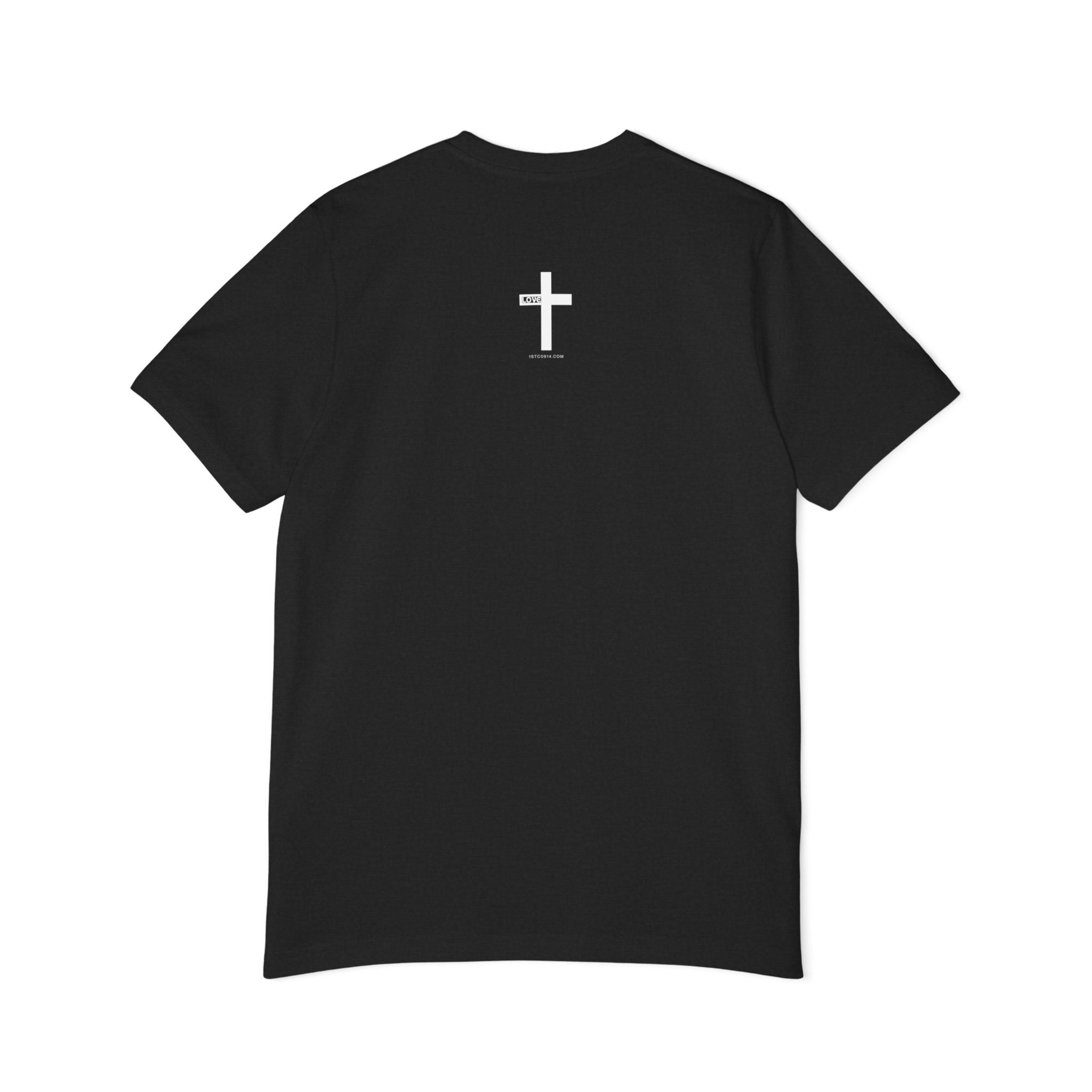 Jesus is King
