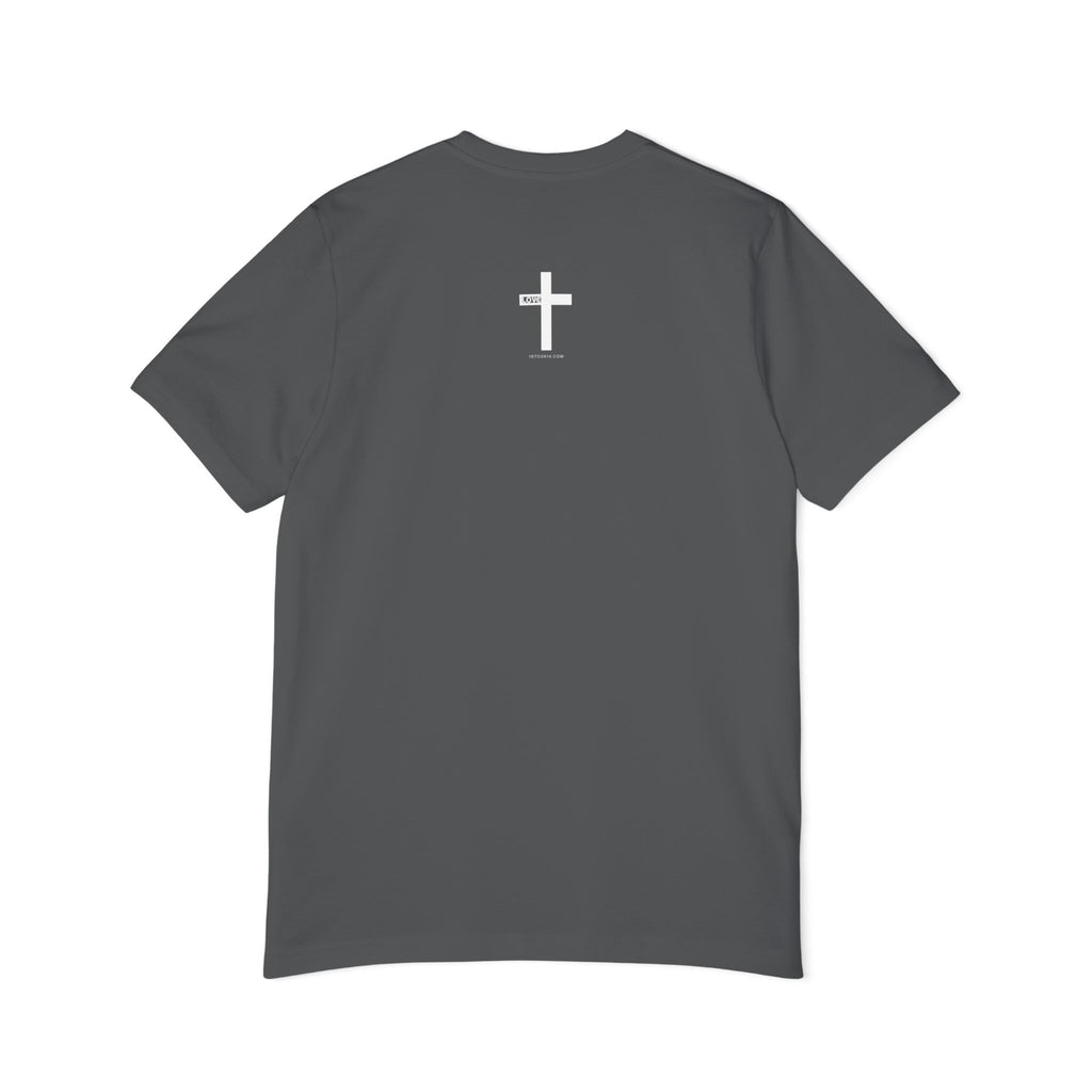 Jesus is King