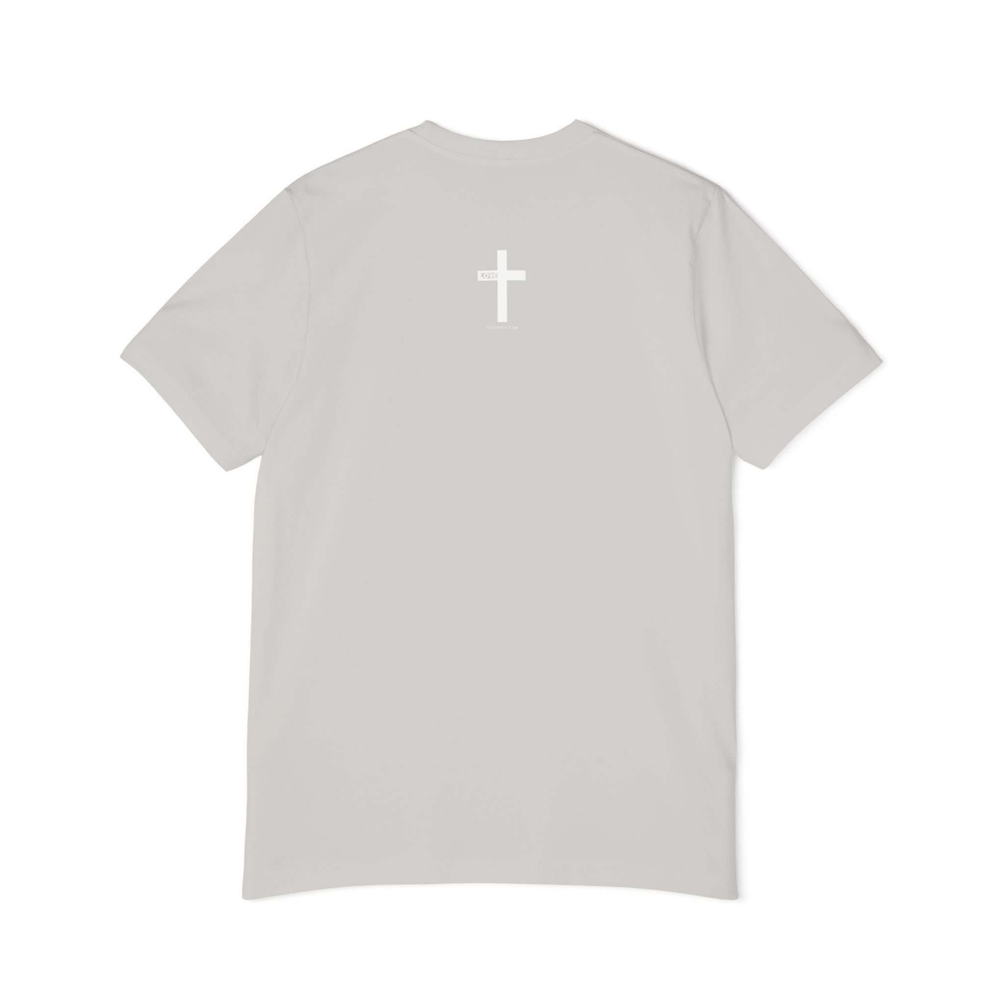 Jesus is King