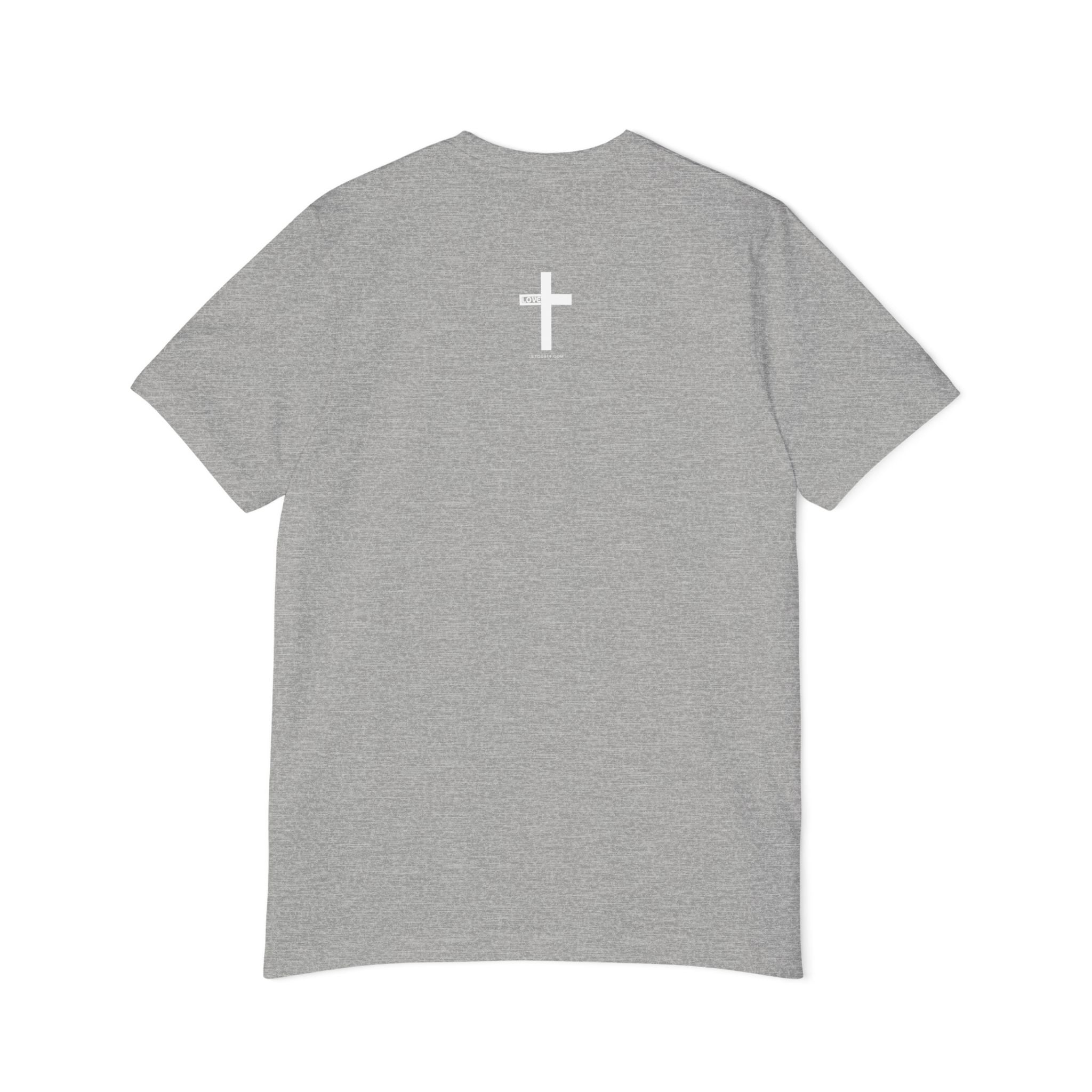 Jesus is King